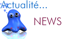 actualite creation site internet creation plaquette 