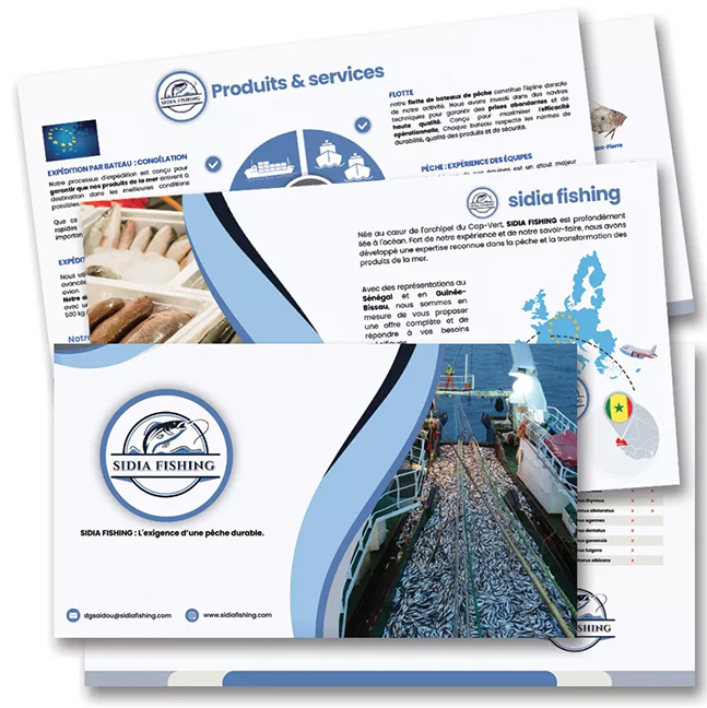 Création d'un site internet sur l'exportation de pêcherie