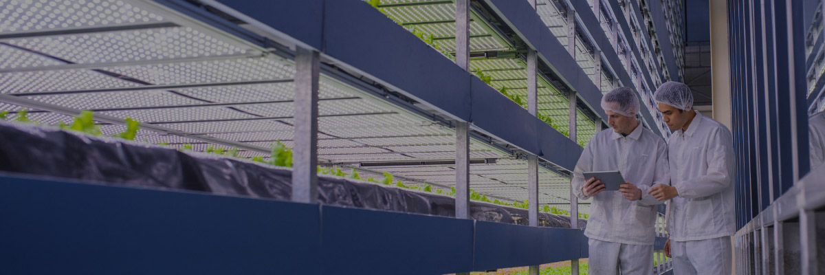 création site internet dans l’agroalimentaire