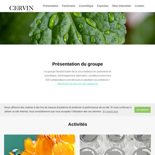 Groupe CERVIN