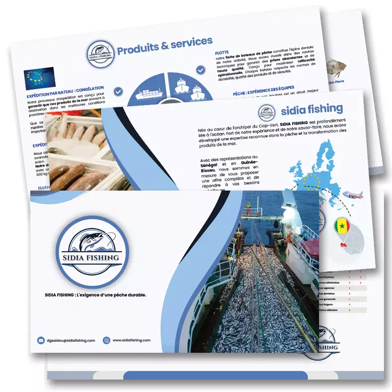 Création de sites internet et outils de communication dans l'agroalimentair